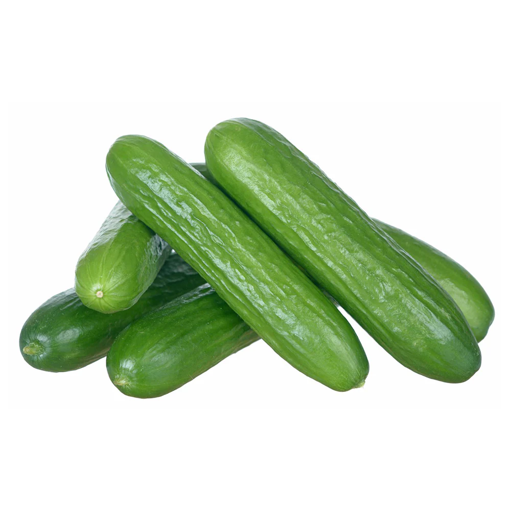 English Cucumber
